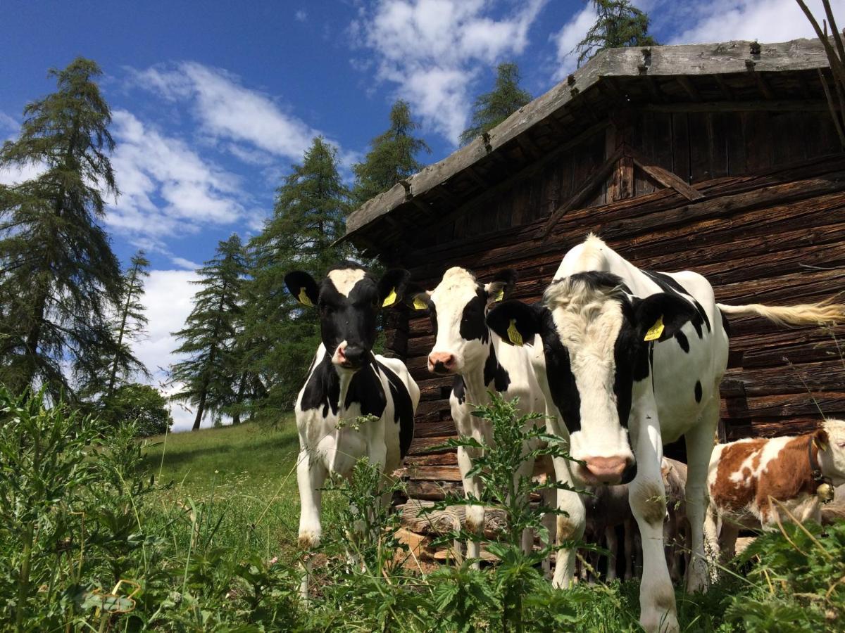 Rempphof Lägenhet San Genesio Atesino Exteriör bild