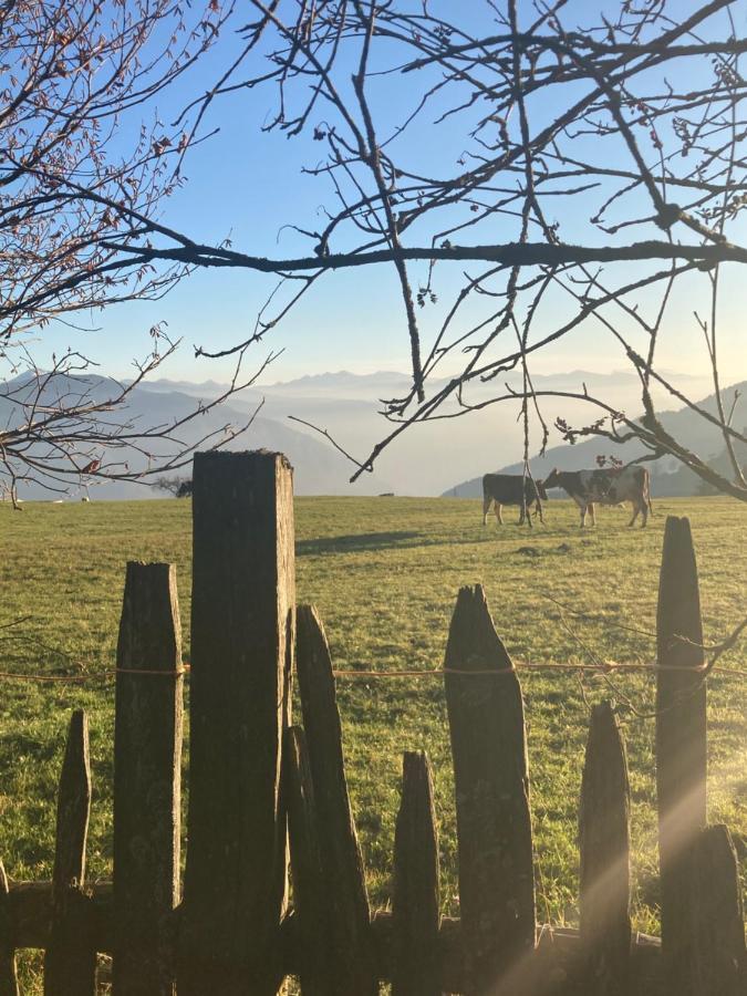 Rempphof Lägenhet San Genesio Atesino Exteriör bild