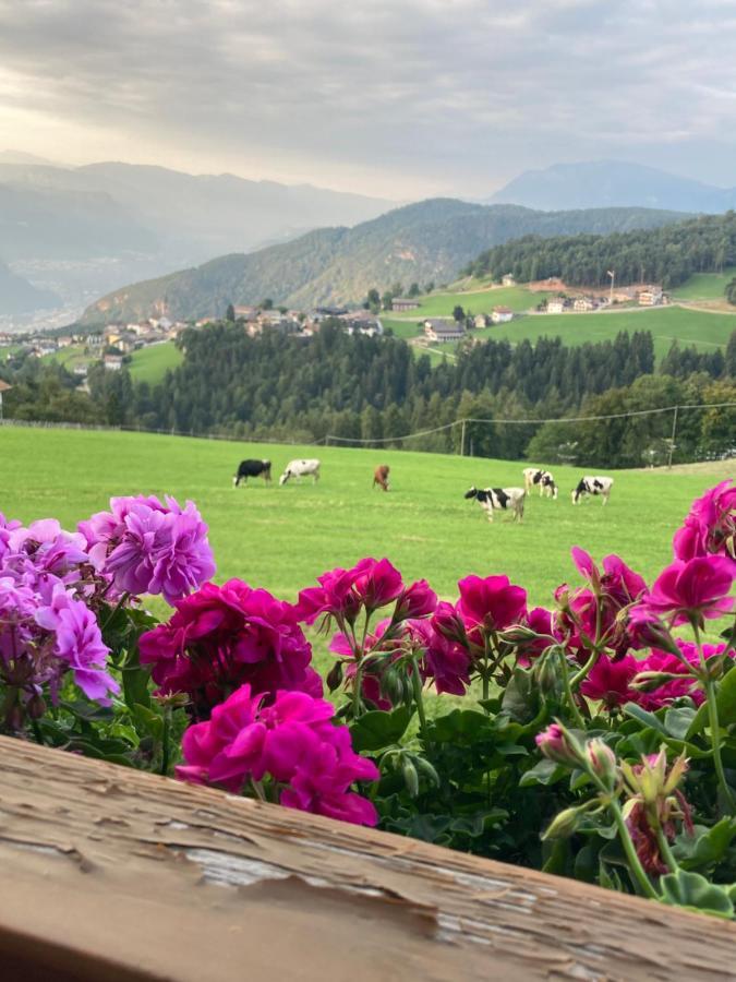 Rempphof Lägenhet San Genesio Atesino Exteriör bild