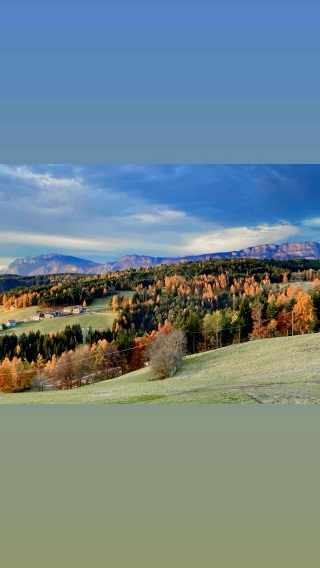 Rempphof Lägenhet San Genesio Atesino Exteriör bild