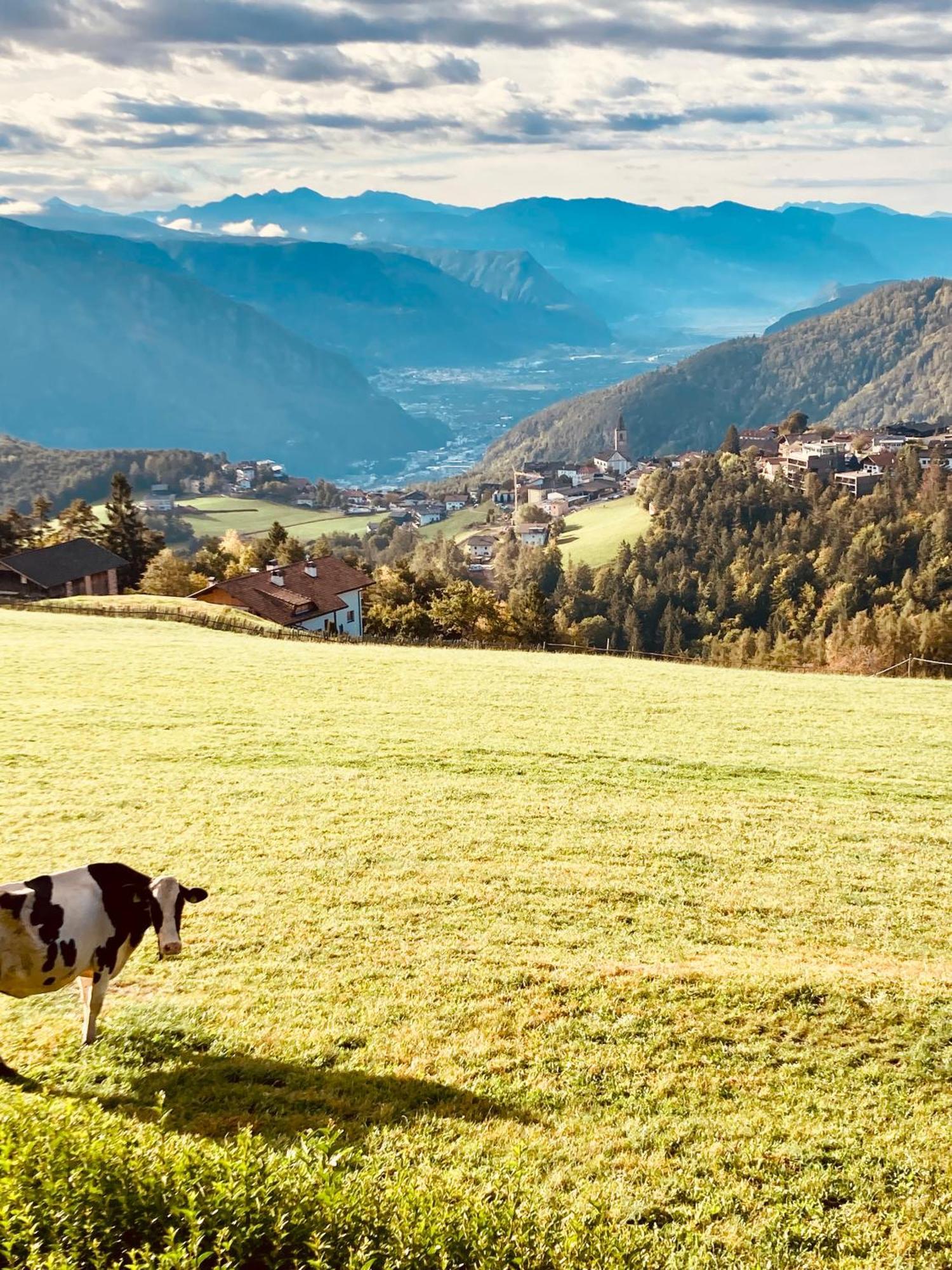 Rempphof Lägenhet San Genesio Atesino Exteriör bild